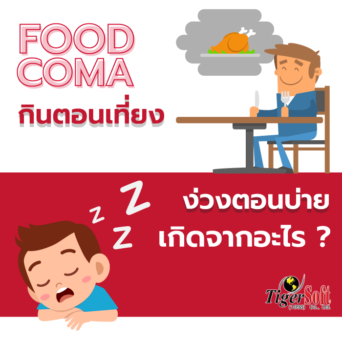 “Food Coma” กินตอนเที่ยง ง่วงตอนบ่าย เกิดขึ้นจากอะไร…มีวิธีรับมือหรือไม่…???