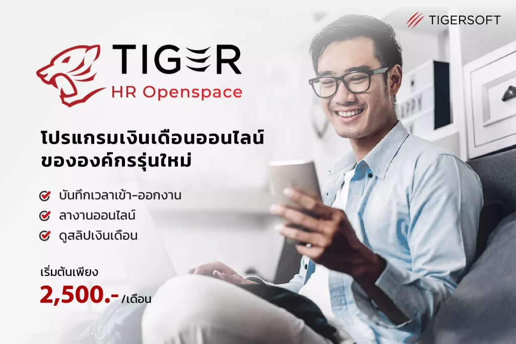 Tigersoft HR Openspace Content Banner 220510