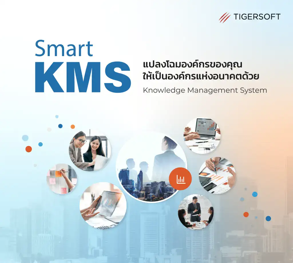 TigerSoft SmartKMS